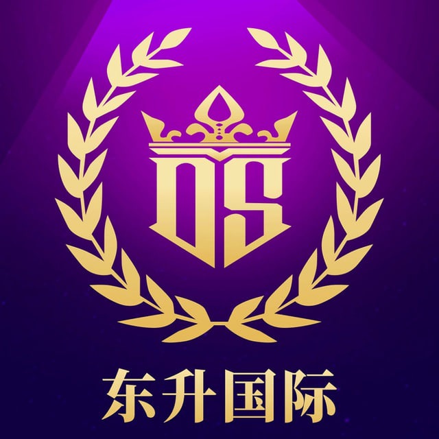 东升国际